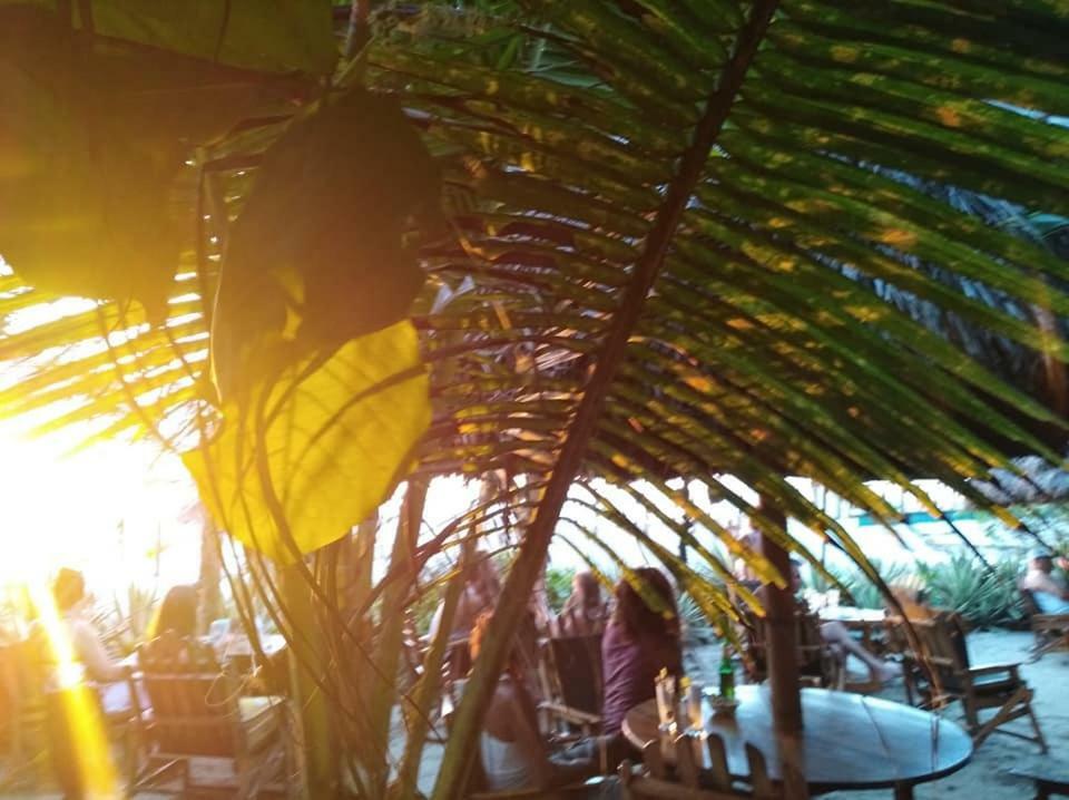 קנואה Hotel Bambu מראה חיצוני תמונה